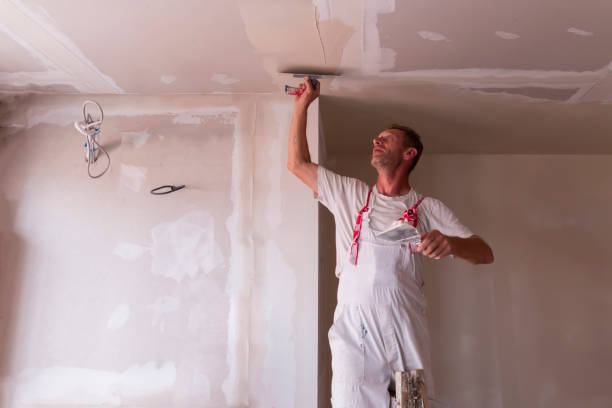 Best Water-Damaged Drywall Repair  in Chuluota, FL